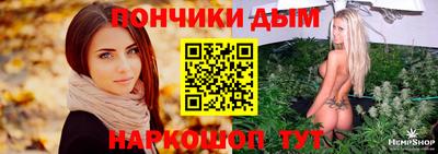 мдпв Бийск