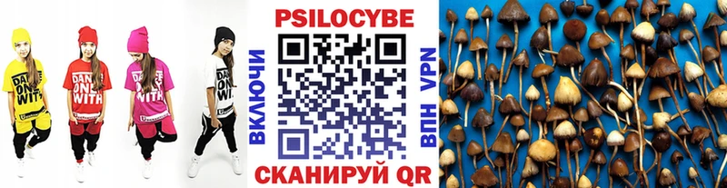 Псилоцибиновые грибы прущие грибы  Великие Луки 